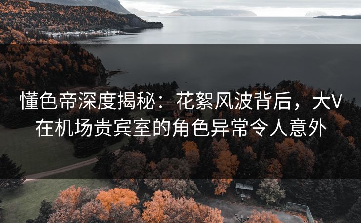 懂色帝深度揭秘：花絮风波背后，大V在机场贵宾室的角色异常令人意外
