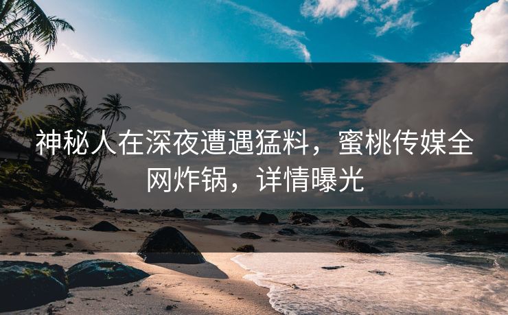 神秘人在深夜遭遇猛料,蜜桃传媒全网炸锅,详情曝光 神秘人在深夜遭遇猛料,蜜桃传媒全网炸锅,详情曝光