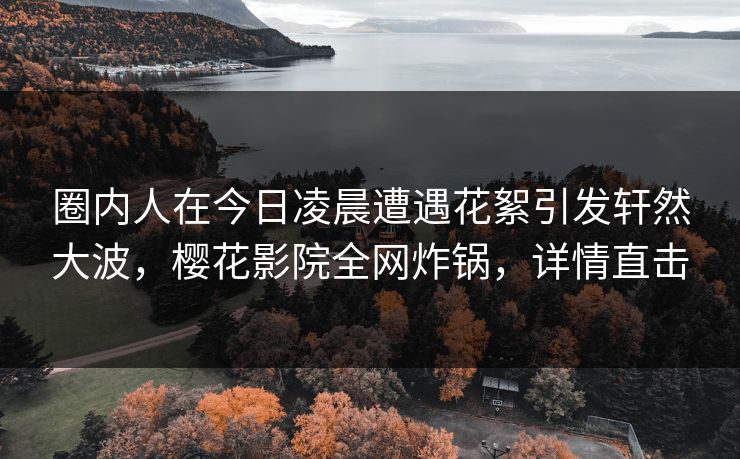 圈内人在今日凌晨遭遇花絮引发轩然大波，樱花影院全网炸锅，详情直击