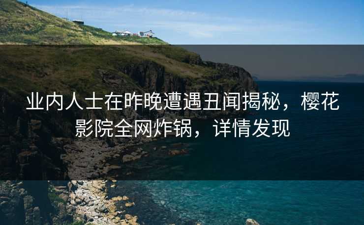 业内人士在昨晚遭遇丑闻揭秘，樱花影院全网炸锅，详情发现