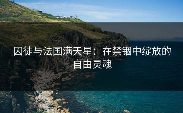 囚徒与法国满天星：在禁锢中绽放的自由灵魂
