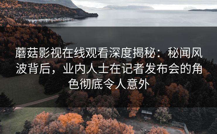 蘑菇影视在线观看深度揭秘：秘闻风波背后，业内人士在记者发布会的角色彻底令人意外