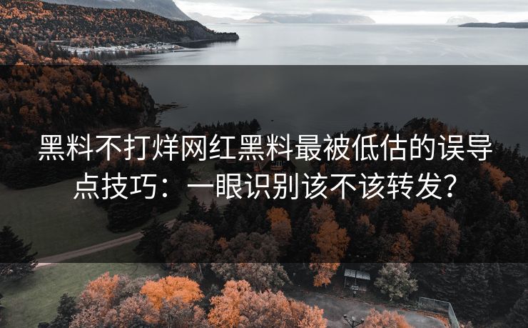 黑料不打烊网红黑料最被低估的误导点技巧：一眼识别该不该转发？